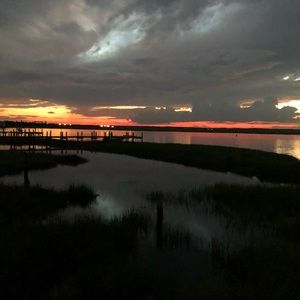 Meet your Posher, Peyton